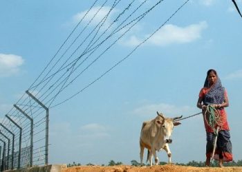 An Indian Border Security Force (BSF) soldier (R) stands alert as a farmer leads her cow alongside border fencing marking the India-Bangladesh border in the village of Jaypur, some 5 kms west of Agartala, 17 November 2006. Security on the Indian side of the border has been intensified following political instability and continuing violence in Bangladesh. The border between the two countries stretches over 4000 kilometers (2500 miles), a considerable part of which is unfenced.   / AFP PHOTO / STRDEL